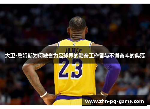 大卫·詹姆斯为何被誉为足球界的勤奋工作者与不懈奋斗的典范